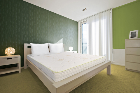 Pachet Saltea ortopedica Ecoline Aloe Vera 180x200x17 cm Dual Confort si 2 perne 50x70 cm