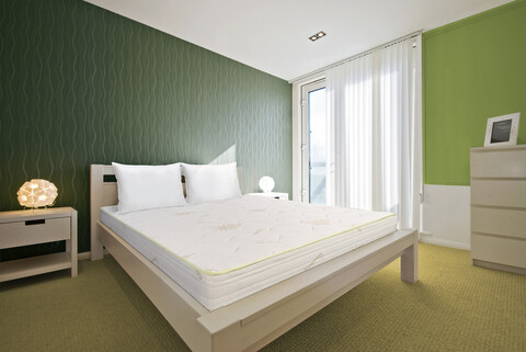 Pachet Saltea Ecoline Aloe vera si perna