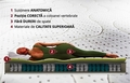 Saltea ortopedica, Intense Memory Pocket, 90x200x28 cm, cu Arcuri Individuale, spuma Memory, fermitate medie